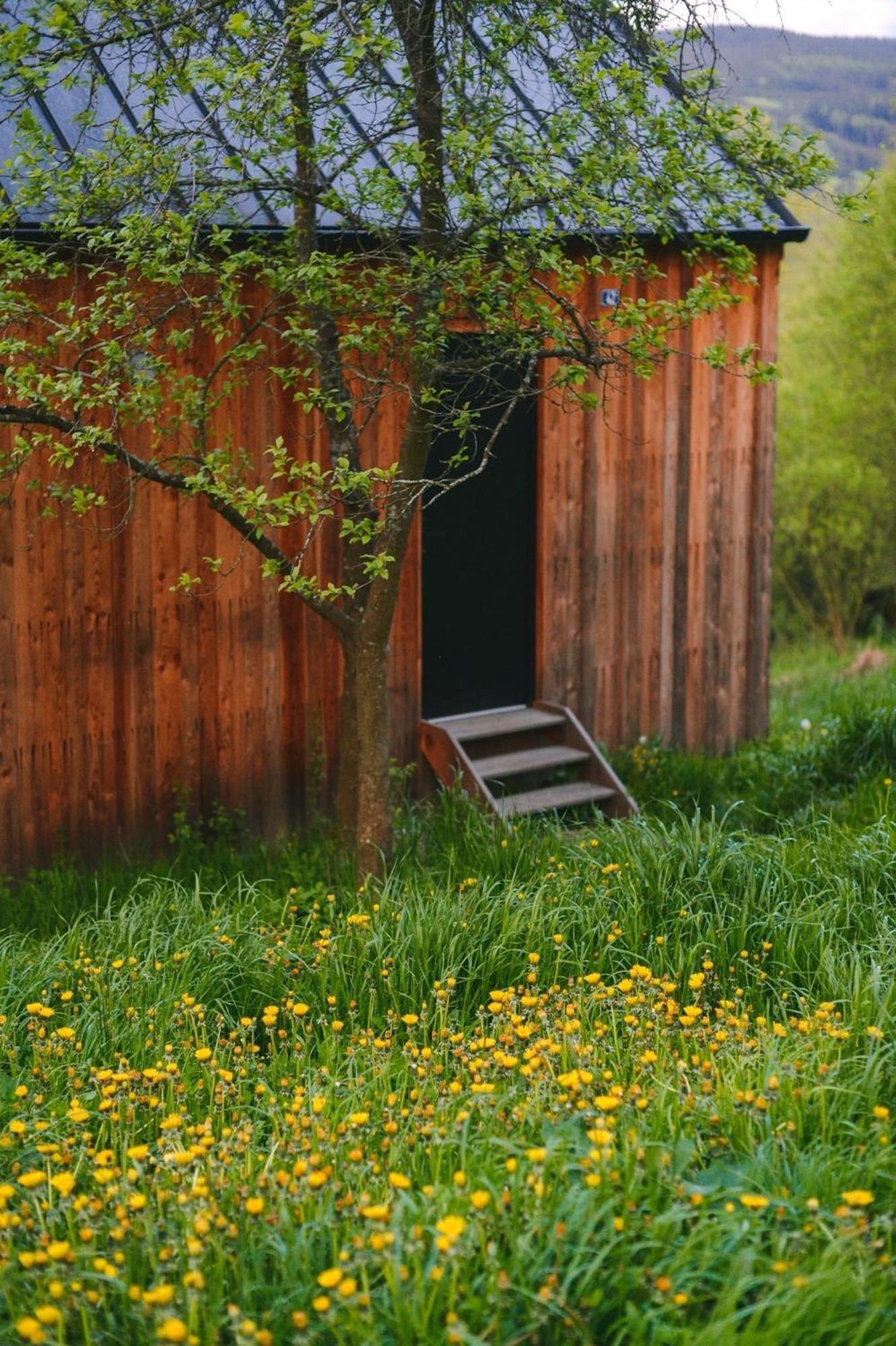 Tri Domky - Tiny Houses Depoltice Dış mekan fotoğraf